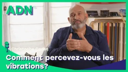 Comment percevez-vous les vibrations ?
