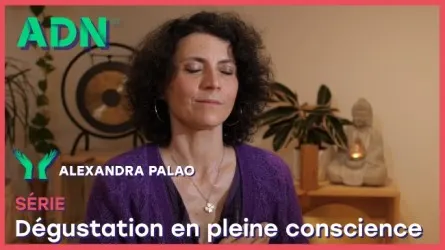 Dégustation en pleine conscience - Série