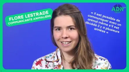 La communication animale et mes expériences