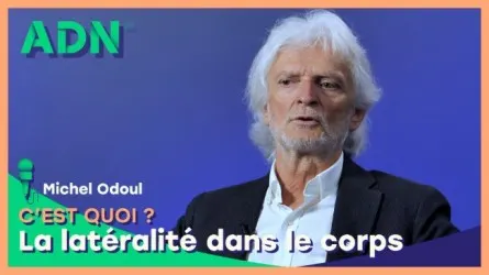 La latéralité dans le corps, c’est quoi ?