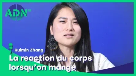 La physiologie du jeûne : La réaction du corps lorsqu’on mange
