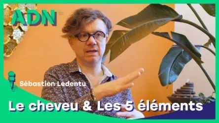 Le cheveu & Les 5 éléments