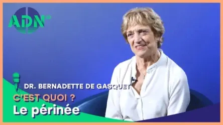 Le périnée, c’est quoi ?