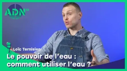 Le pouvoir de l’eau : comment utiliser l’eau ?