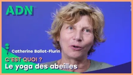 Le yoga des abeilles, c'est quoi ?