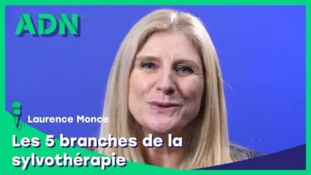 Les 5 branches de la sylvothérapie