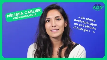 Les différentes phases du cycle menstruel
