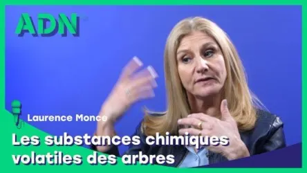 Les substances chimiques volatiles des arbres