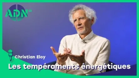 Les tempéraments énergétiques