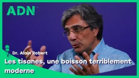 Les tisanes, une boisson terriblement moderne