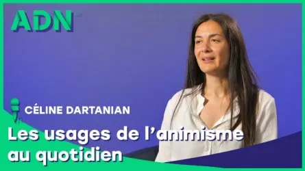 Les usages de l’animisme au quotidien