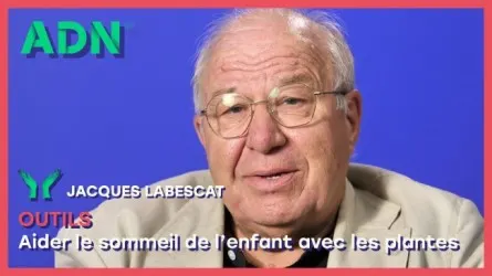 Outils : Aider le sommeil de l’enfant avec les plantes
