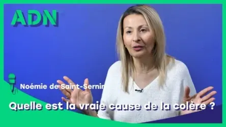 Quelle est la vraie cause de la colère ?