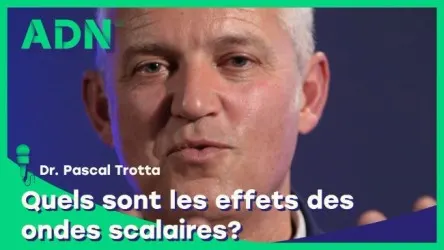 Quels sont les effets des ondes scalaires ?