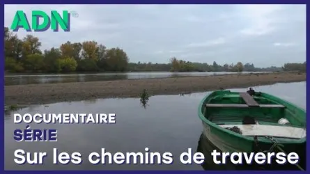 Sur les chemins de traverse - Série
