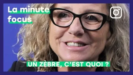 Un zèbre, c'est quoi ?
